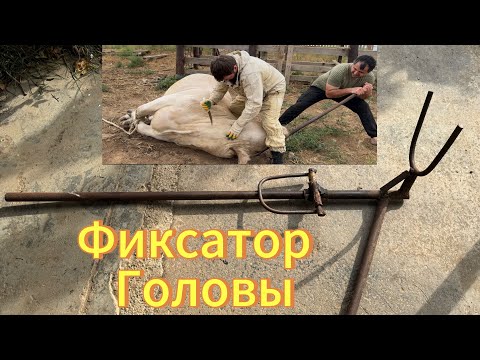 Видео: Размеры Фиксатора головы для забоя