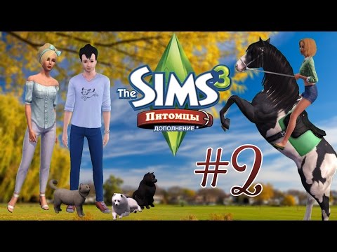 Видео: Давай играть в The Sims 3:Питомцы #2 (Начинаем развитие)
