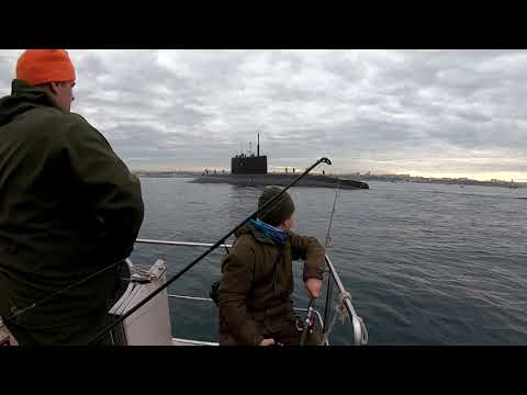 Видео: Ловля селедки в Севастополе.  Встреча с подводной лодкой.