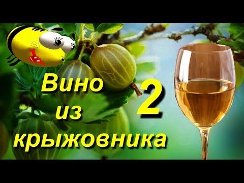 Видео: Вино из крыжовника 2 часть "Уход за брожением"