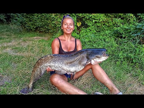 Видео: КРАСУНЯ І ПІДВОДНЕ ЧУДОВИСЬКО - ГРАНДІОЗНА ДУЕЛЬ НА ХВИЛЯХ! Ловля судака і рибалка на спінінг 2023
