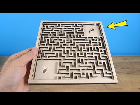 Видео: ЗВЕРСКАЯ ВСТРЕЧА МУРАВЬЯ И МУРАВЬИНОГО ЛЬВА В ЛАБИРИНТЕ!