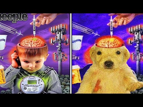 Видео: Ван Гог Нашего Времени