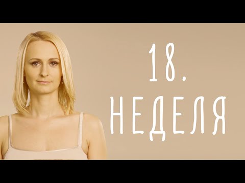 Видео: 18. неделя беременности