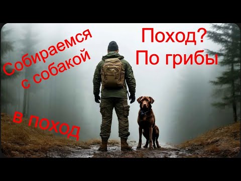 Видео: Поход? По грибы.