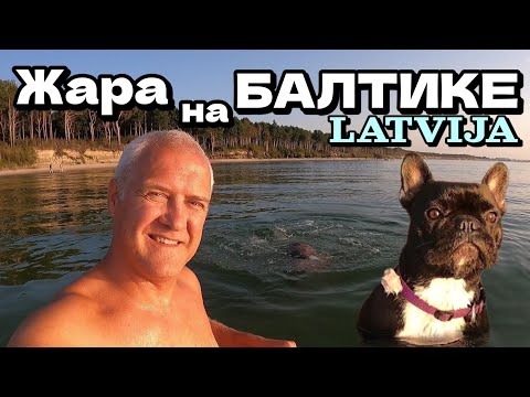 Видео: ЛАТВИЯ. Море на закате | Бульдожка купается | Отдых семьёй | Аномальная теплотa | Сентябрь 2024