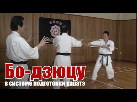 Видео: Дзёсинмон Сёрин-рю. Бо-дзюцу в системе подготовки каратэ.