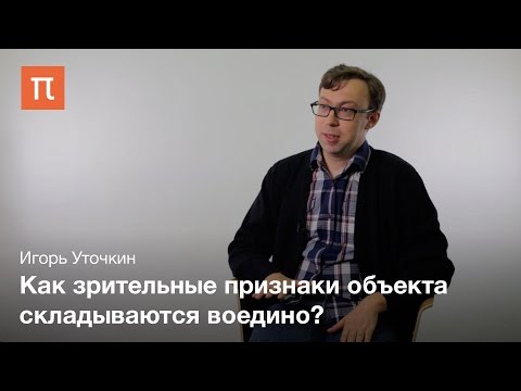 Видео: Предвнимание и внимание Игорь Уточкин