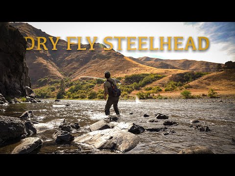 Видео: Одиночный кемпинг и рыбалка для конькобежцев в начале осени