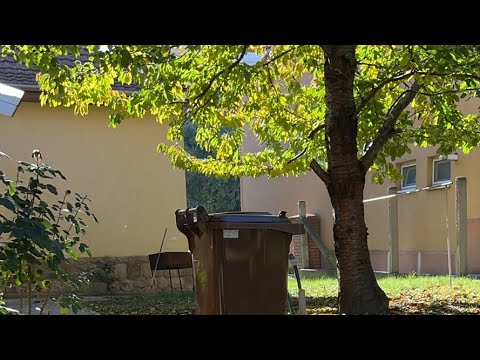 Видео: 🍂 Осінь/ Autumn/Ösz /Work/ Clining/Munka/Листя /Грузимо дрова/Працюємо на вулиці.Підписуйтесь Друзі