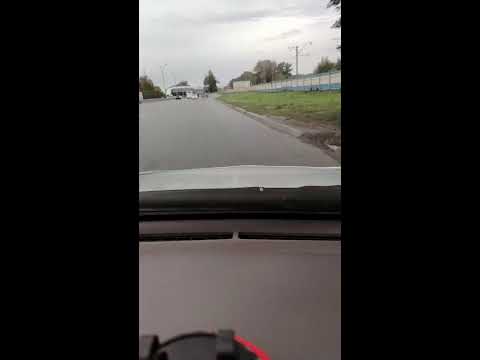 Видео: Dostavlyator в прямом эфире!