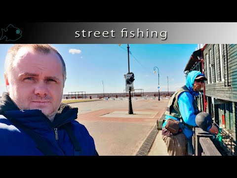 Видео: весенний микроджиг на Набережной Северной Двины