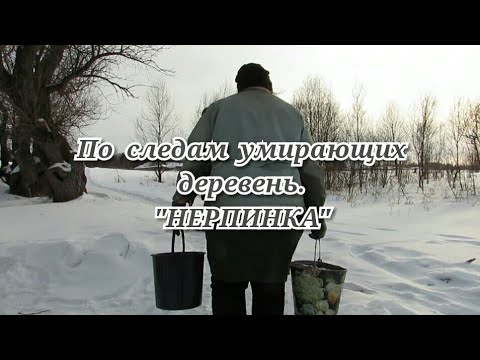 Видео: По следам умирающих деревень. НЕРПИНКА. Тарский район.