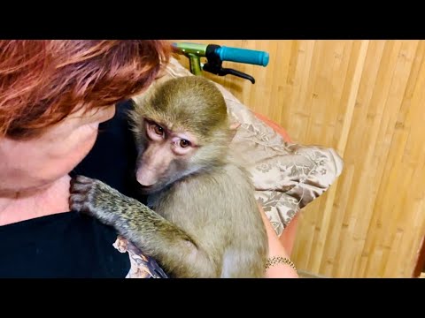 Видео: Мама ОТРУГАЛА Маню, она все поняла и попросилась домой!