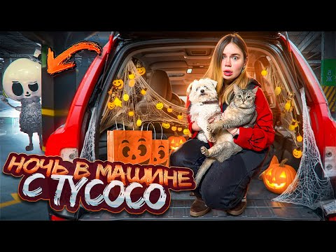 Видео: НОЧЬ НА ПОДЗЕМНОЙ ПАРКОВКЕ С КОТОМ И СОБАКОЙ | TYCOCO ПРИШЕЛ НА HALLOWEEN