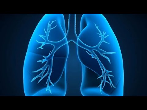 Видео: Полное дыхание и поддержка тела диафрагмы в статике и динамике.