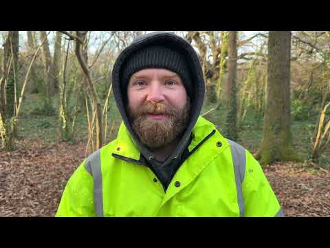 Видео: Ты уже достаточно потребил. Бог хочет, чтобы ты начал творить.