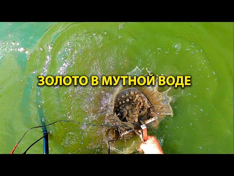 Видео: Золото в мутной воде. Поиск ювелирки на купальном месте.