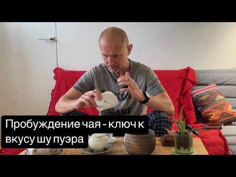 Видео: Пробуждение чая  — ключ к вкусу шу пуэра