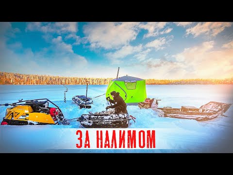 Видео: РЫБАЛКА НА ТАЁЖНОЙ РЕКЕ С ПАЛАТКОЙ И ПЕЧКОЙ. РЫБАЛКА НА НАЛИМА ПОДГОТОВКА. НА РЕКУ НА МОТОСОБАКЕ.