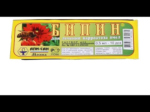 Видео: ошибки пчеловода - выбор препарата для обработки пчел от клеща Варроа