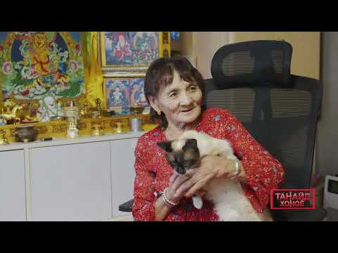 Видео: Танайд хоноё Мөнхөө эмээ