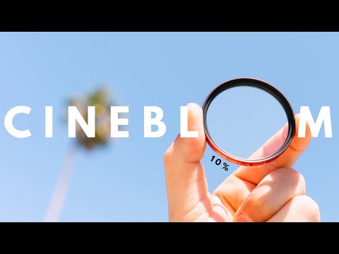 Видео: Moment Cinebloom 10% или 20% | Почему я купил 10% для уличной фотографии!