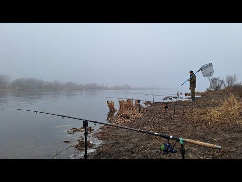 Видео: Перша рибалка на Дністрі 2025. Карась МОНСТР, Велика ПЛОТВА. Розвідка вийшла вдала. Прибираю сміття