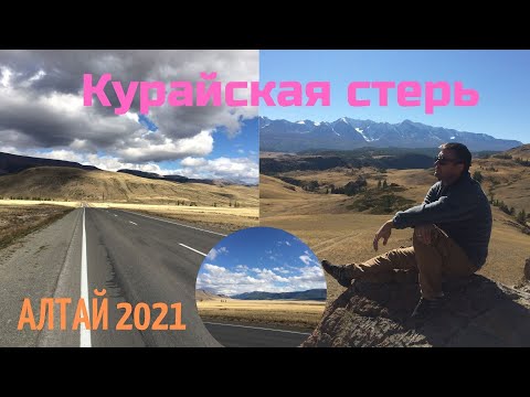 Видео: Автопутешествие Горный Алтай  #3 Нереально красивая Курайская степь!#горныйалтай#горызовут