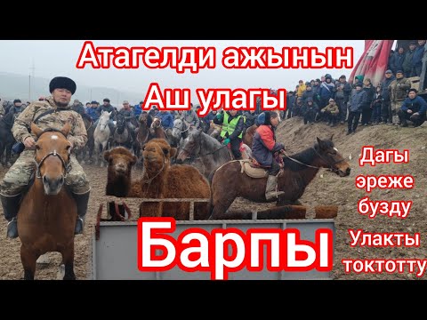 Видео: Барпы аштын улагы