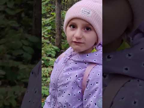 Видео: Осенние прогулки по лесу. 