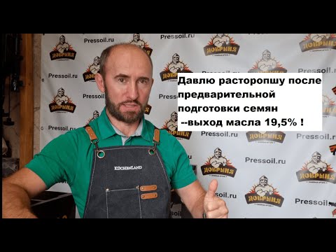 Видео: Масло расторопши/ выход на маслопрессе Добрыня-50 после подготовки семян. Результат хороший-19,5% !