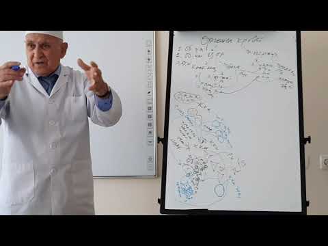 Видео: Гистология.Органы кроветворения. Садриддинов А.Ф. #tashpmi#ТашПМИ