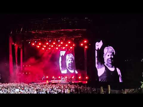 Видео: Диана Арбенина