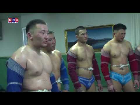 Видео: Дархан мэх. Сэлэнгэ аймгийн Мандал сумын харьяат Монгол улсын начин Шагдарын Зоригт