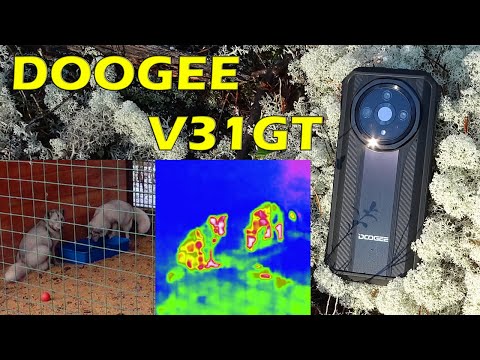 Видео: DOOGEE V31GT - отличный телефон для охоты, рыбалки, туризма. Защищённый смартфон с тепловизором