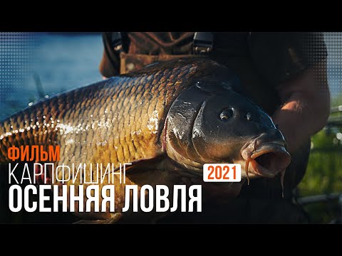 Видео: Карпфишинг: Эпизод 22 - Осеняя ловля сезона 2021