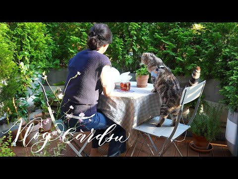 Видео: Изготовление подушек, английская каллиграфия, жареное блюдо с курицей, уход за кожей