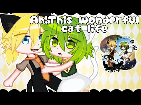 Видео: [ Клип - Ах, эта прекрасная кошачья жизнь! ]  Gacha club 🐾 ☁️