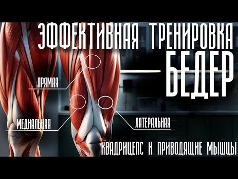 Видео: Эффективная тренировка ног. Тренировка квадрицепса и приводящих мышц бедра. Как накачать ноги?