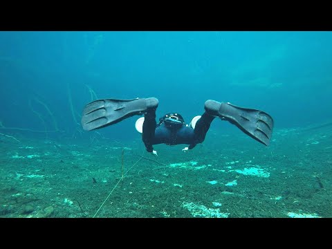 Видео: Лягушка Пинок