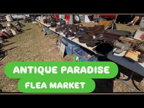 Видео: АНТИКВАРИАТ НА ЭТОМ БЕЗУМНОМ АНТИКВАРНОМ РЫНКЕ / РАСКРЫВАЯ ИСТОРИЮ МАГАЗИНА СО МНОЙ. ВИДЕОБЛОГ ОЗ...