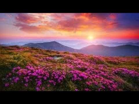 Видео: АНТИСТРЕСС ПРИРОДА