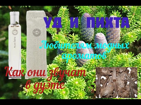 Видео: Уд и Пихта в парфюмерии. Как они звучат в дуэте? Обзор благородного аромата от бренда "HERMES"