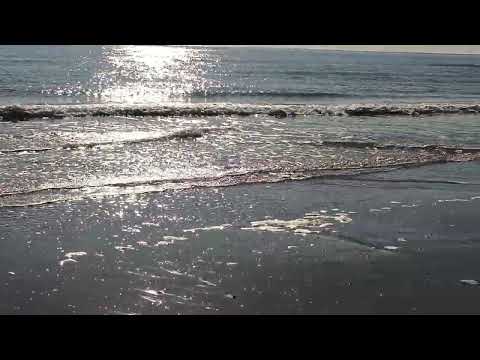 Видео: Городской пляж Римини, Италия-2024