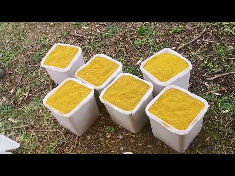 Видео: Ну как вам такой сбор?