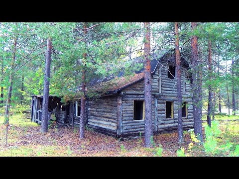 Видео: 13 дней в тайге. Одиночный поход по Печоре. Часть 4. Заброшенная в тайге деревня Еджыдъяг (Щугор)