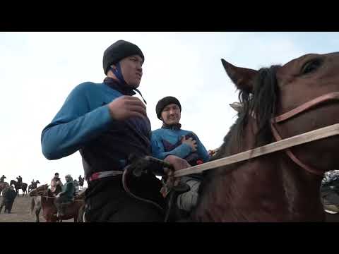 Видео: 24.01.2024 Қазығұрт ауданы Қызылқия ауылы Нұрмахан Ермахан ағаларымыздың елден бата алу көкпар тойы