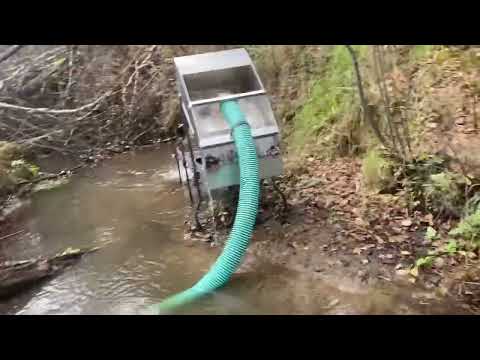 Видео: Новая мини-драга  от Дипсис  ловит золото 