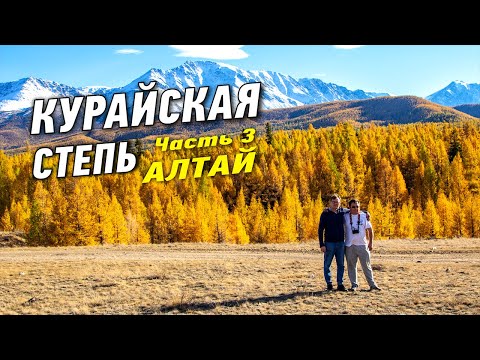 Видео: Курайская степь. Автопутешествие на Алтай. Часть 3